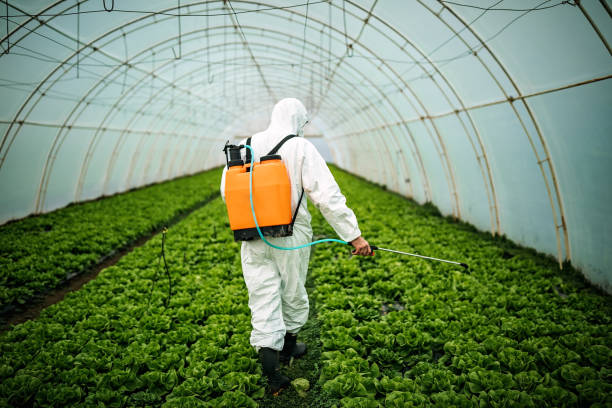 Best Ant Control Services  in Moon Lake, FL