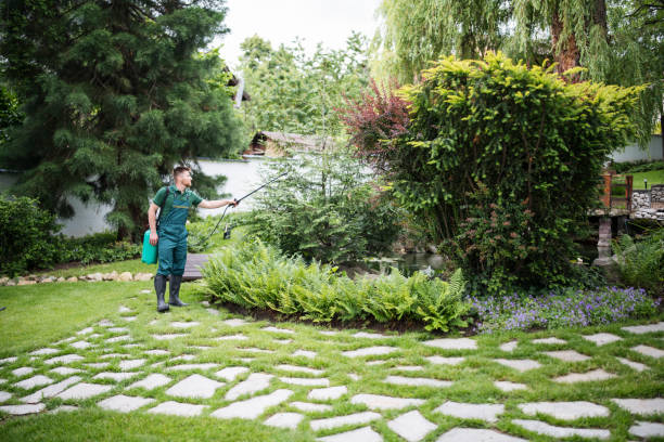 Best Ant Control Services  in Moon Lake, FL