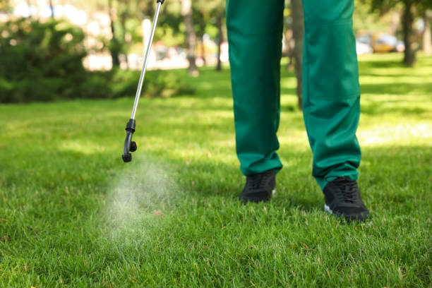 Best Pest Prevention Services  in Moon Lake, FL