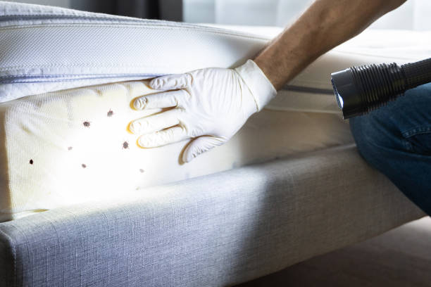 Best Wildlife Control Services  in Moon Lake, FL