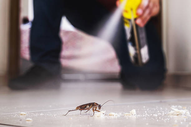 Best Pest Control Near Me  in Moon Lake, FL